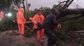 Sebuah kendaraan roda empat menjadi korban amukan cuaca ekstrim yang terjadi di Kabupaten Magetan, Jawa Timur
